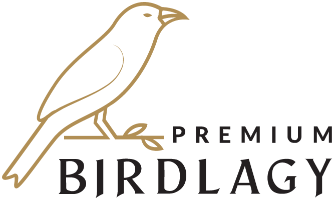 BirdLagy – Thế giới yến sào