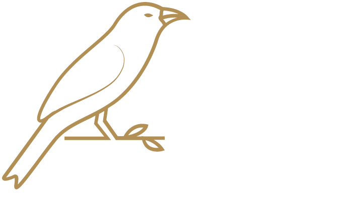 Nội dung chân trang