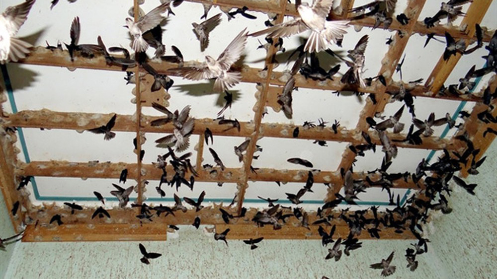 CÔNG TY TNHH MTV THƯƠNG MẠI DỊCH VỤ KỸ THUẬT MINH PHÁT